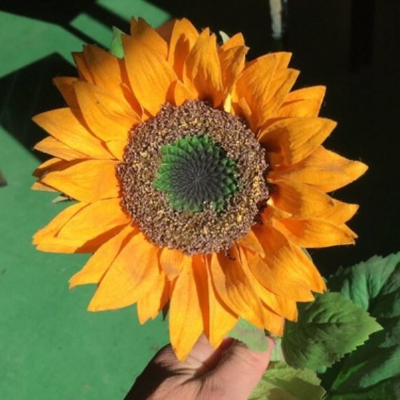 Meet your Posher, Bec - Picture 1 of 1